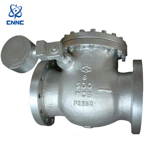 中核苏阀-美标止回阀