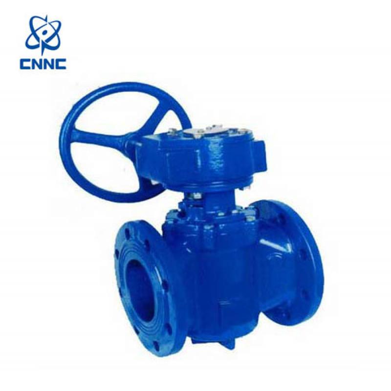 中核苏阀-偏心旋塞阀