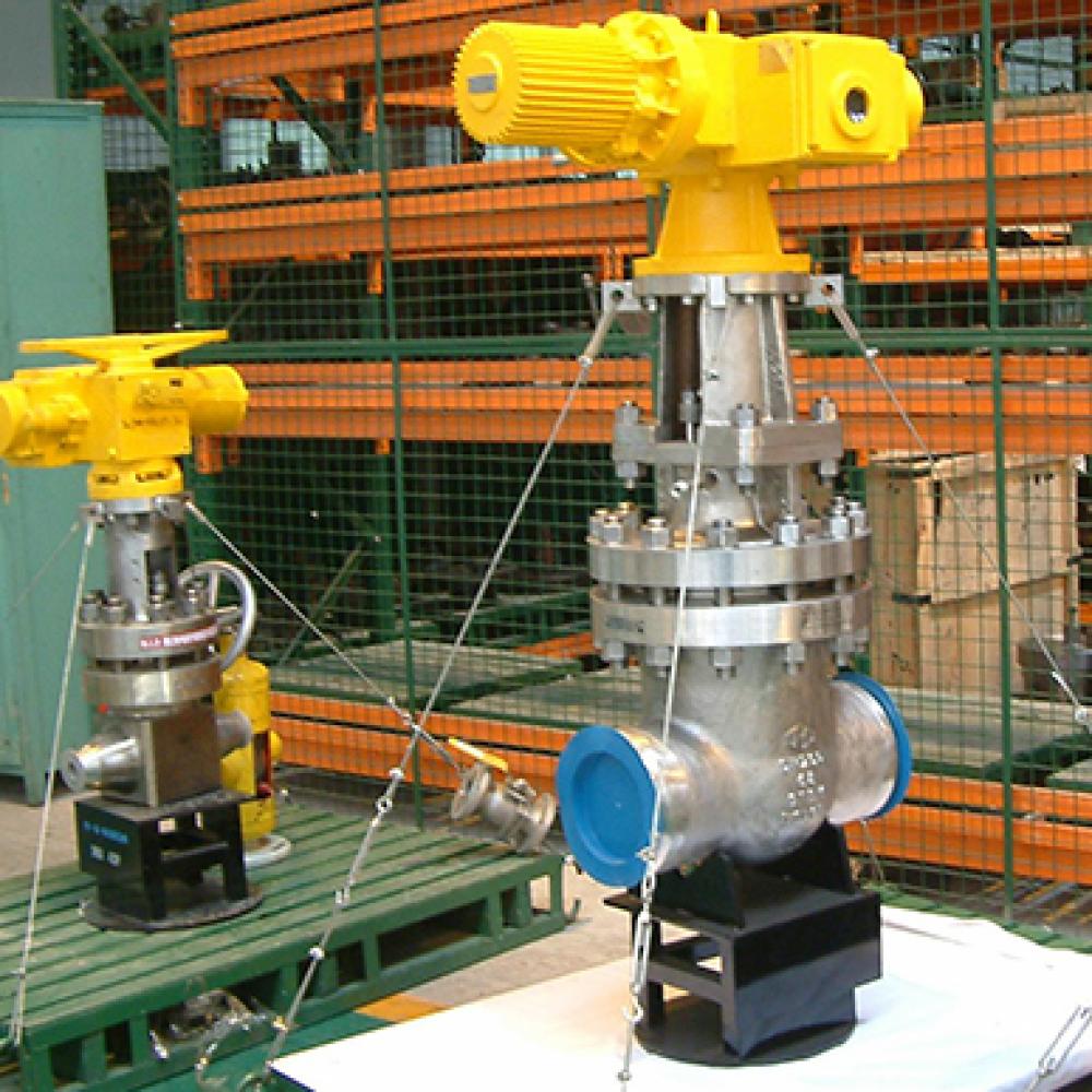 中核苏阀-核安全1级阀门