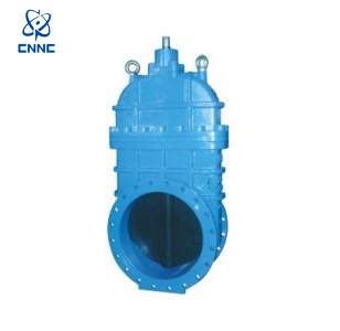 中核苏阀-DN600暗杆闸阀