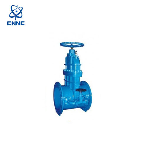 中核苏阀-DN600带旁通暗杆闸阀