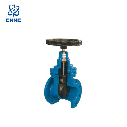 中核苏阀-暗杆软密封闸阀