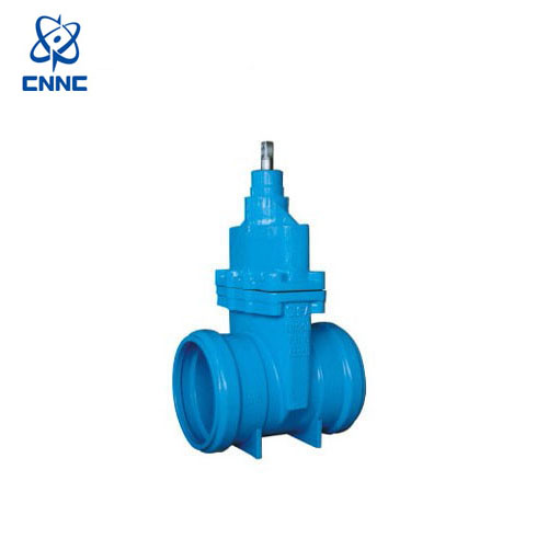 中核苏阀-承插式闸阀