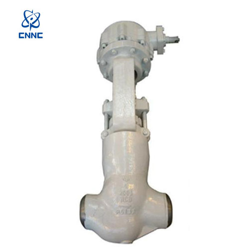 中核苏阀-2500LB焊接截止阀