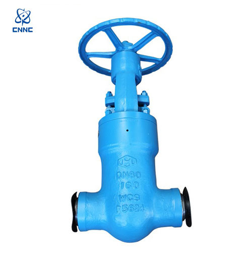 中核苏阀-高压焊接截止阀