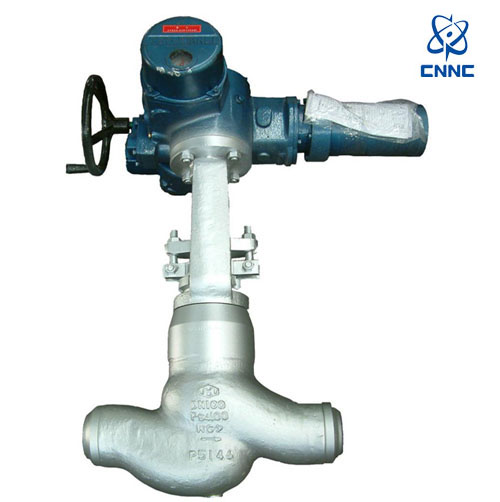 中核苏阀-电动调节截止阀