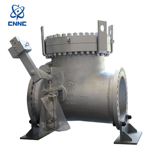 中核苏阀-抽气止回阀